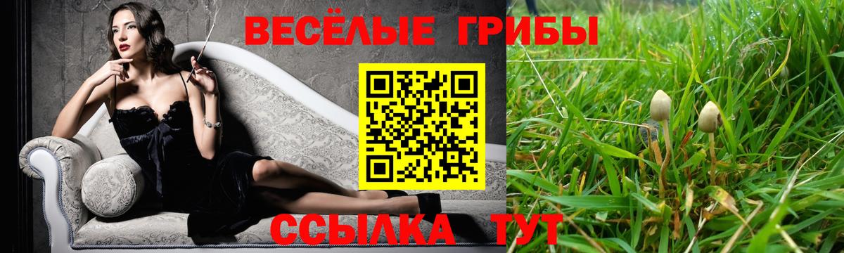 Галлюциногенные грибы Cubensis Луга